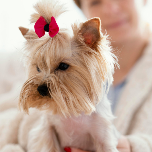 Заявка на услугу