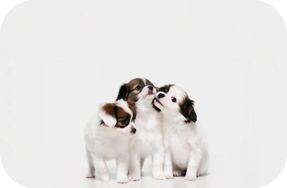 Скидка на гигиенический комплекс