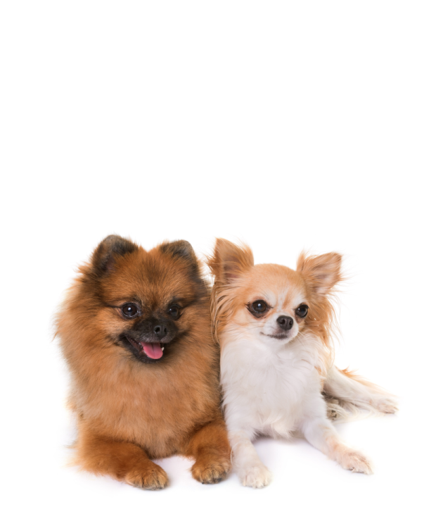 Приведите друга,