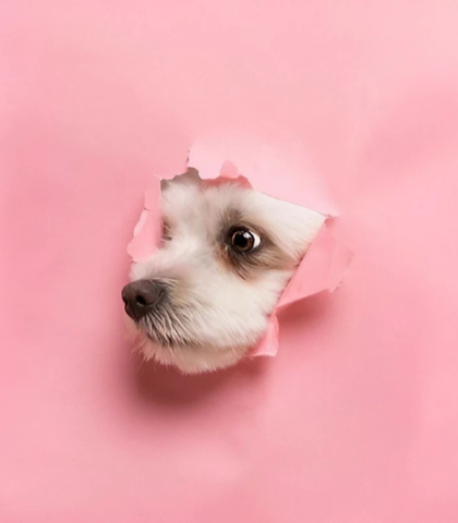 Пенсионерам и инвалидам